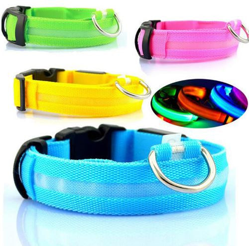 LED Dog Collar