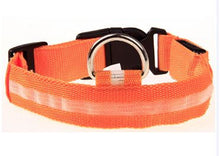 LED Dog Collar