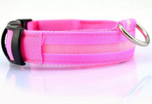 LED Dog Collar
