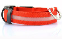 LED Dog Collar