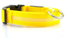 LED Dog Collar