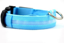 LED Dog Collar