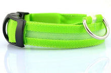 LED Dog Collar