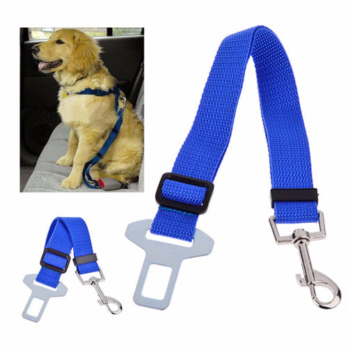 Car Safety Leash Seat belt